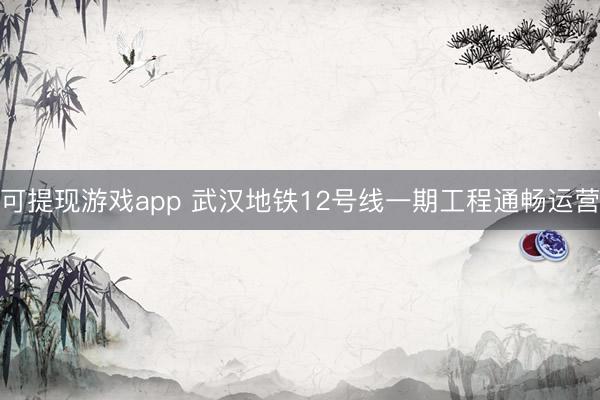 可提现游戏app 武汉地铁12号线一期工程通畅运营